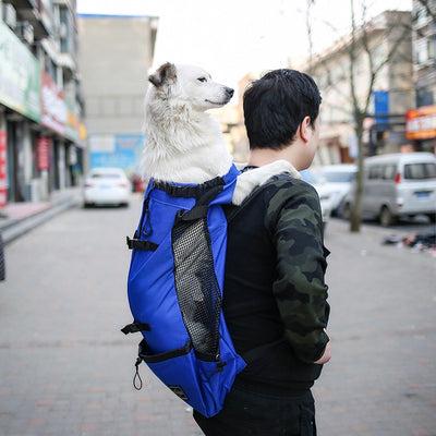 Mochila Transportadora para Perros - Portátil y Cómoda para Viajes - Image 18