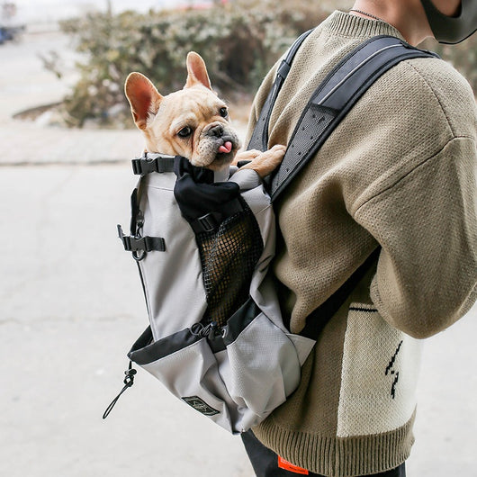 Mochila Transportadora para Perros - Portátil y Cómoda para Viajes - Image 22
