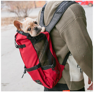 Mochila Transportadora para Perros - Portátil y Cómoda para Viajes - Image 24