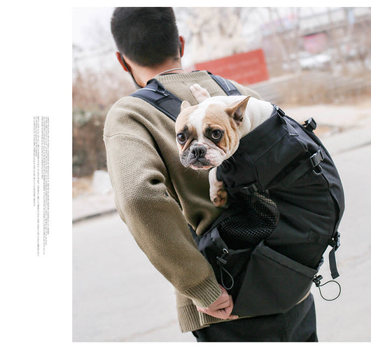Mochila Transportadora para Perros - Portátil y Cómoda para Viajes - Image 38