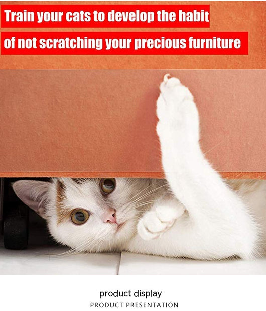 Protector Adhesivo Anti-rasguños para Sofás y Muebles - Defensa Felina - Image 23