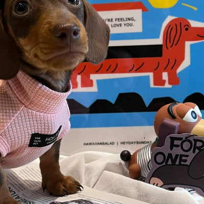 Chaleco de Algodón Puro con Textura Waffle para Mascotas - Image 8
