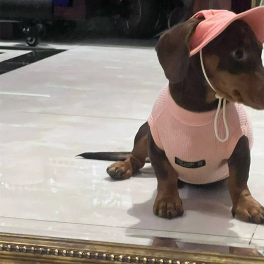Chaleco de Algodón Puro con Textura Waffle para Mascotas - Image 9