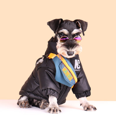 Abrigo Reflectante para Perros - Ropa Cálida de Algodón para Otoño e Invierno - Image 9