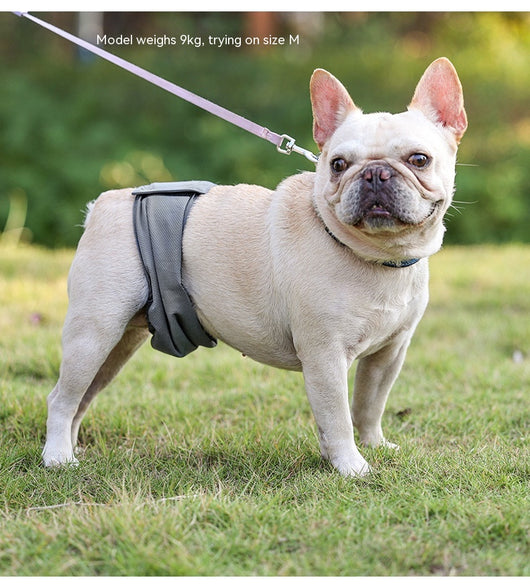 Pañal Protector para Perros Macho - Cinturón Sanitario Reutilizable - Image 9