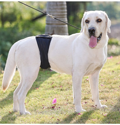 Pañal Protector para Perros Macho - Cinturón Sanitario Reutilizable - Image 13