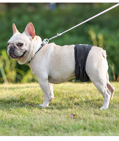 Pañal Protector para Perros Macho - Cinturón Sanitario Reutilizable - Image 15