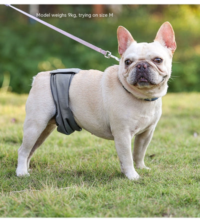 Pañal Protector para Perros Macho - Cinturón Sanitario Reutilizable - Image 16