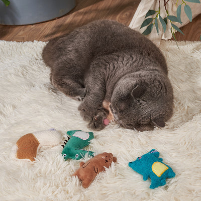 Juguete Interactivo para Gatos con Catnip - Resistente y Duradero - Image 40