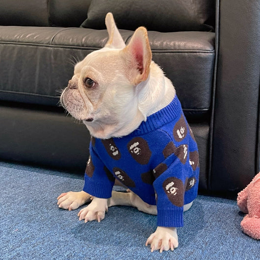 Suéter de Invierno para Perros y Gatos - Ropa Trendy y Cálida - Image 15