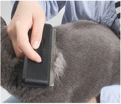 Peine Deslanador de Un Toque para Perros y Gatos - Image 13