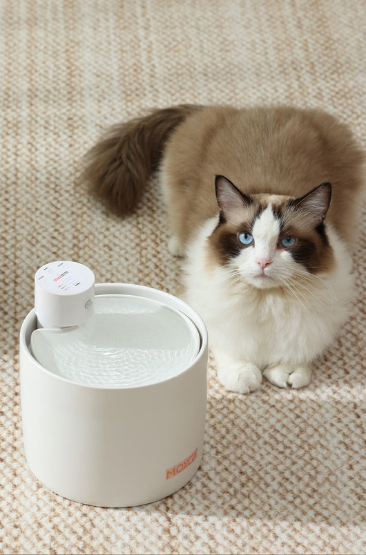 Fuente de Agua Inteligente para Gatos con Filtro y Sensor Automático - Image 14