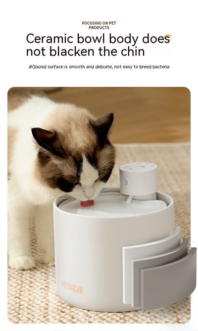 Fuente de Agua Inteligente para Gatos con Filtro y Sensor Automático - Image 16