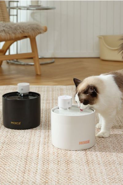 Fuente de Agua Inteligente para Gatos con Filtro y Sensor Automático - Image 20