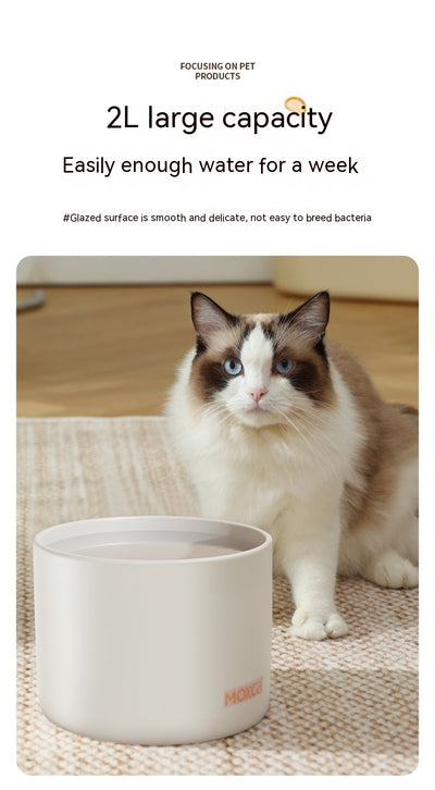 Fuente de Agua Inteligente para Gatos con Filtro y Sensor Automático - Image 21