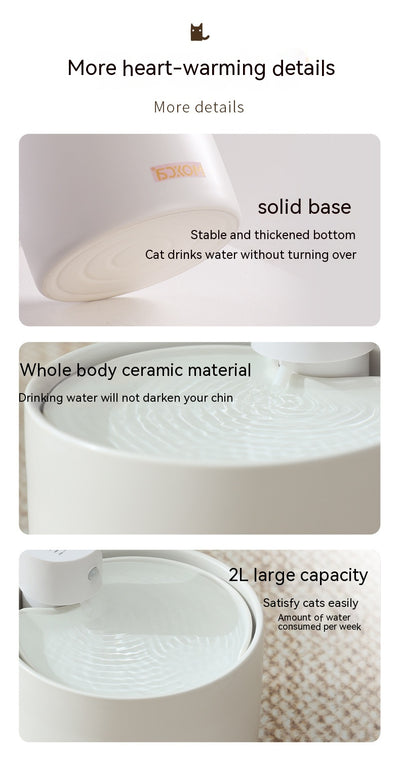 Fuente de Agua Inteligente para Gatos con Filtro y Sensor Automático - Image 22