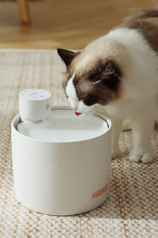 Fuente de Agua Inteligente para Gatos con Filtro y Sensor Automático - Image 23