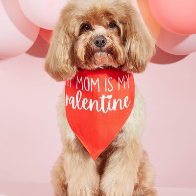Pañuelo Bandana para Perros con Estampado Personalizado - Image 11