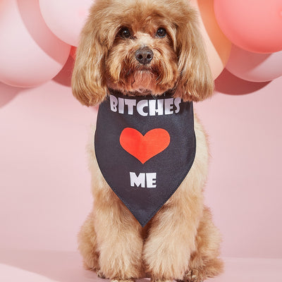 Pañuelo Bandana para Perros con Estampado Personalizado - Image 19