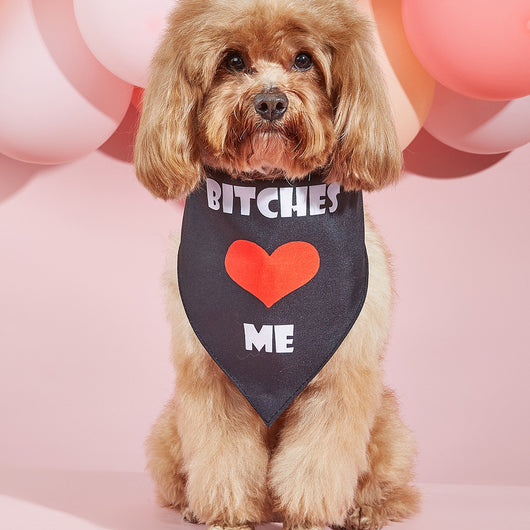 Pañuelo Bandana para Perros con Estampado Personalizado - Image 19