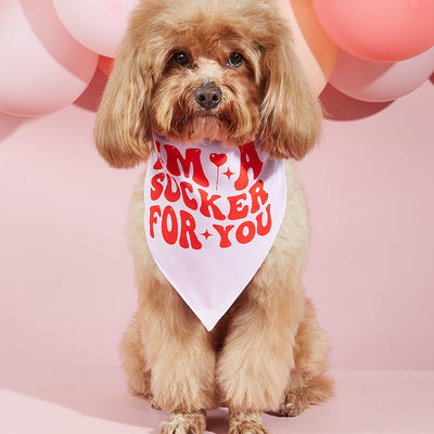 Pañuelo Bandana para Perros con Estampado Personalizado - Image 22