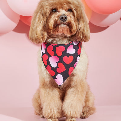 Pañuelo Bandana para Perros con Estampado Personalizado - Image 23