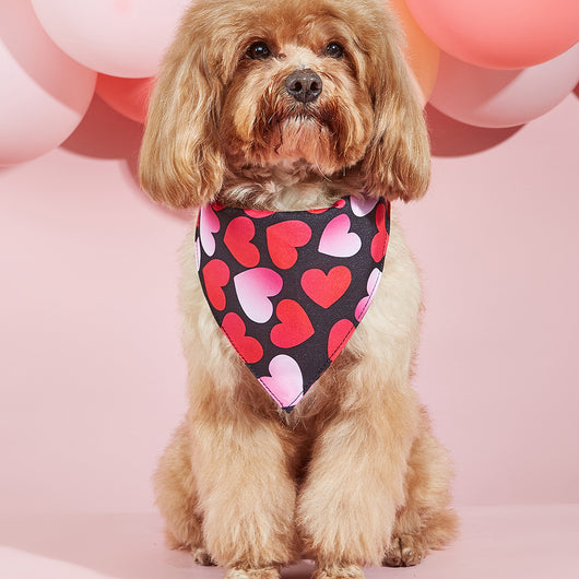 Pañuelo Bandana para Perros con Estampado Personalizado - Image 23