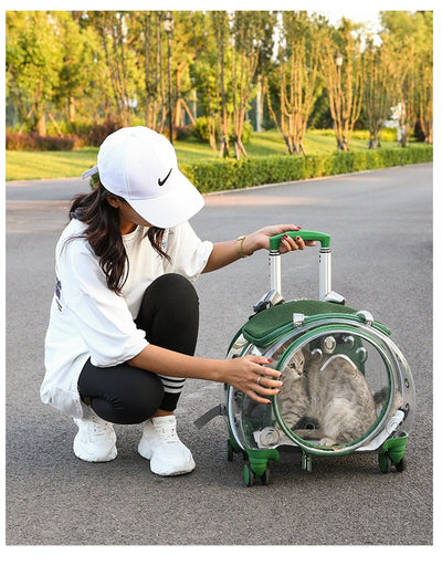Mochila Transportadora para Mascotas Cápsula Espacial con Bolsillo Transparente - Image 19
