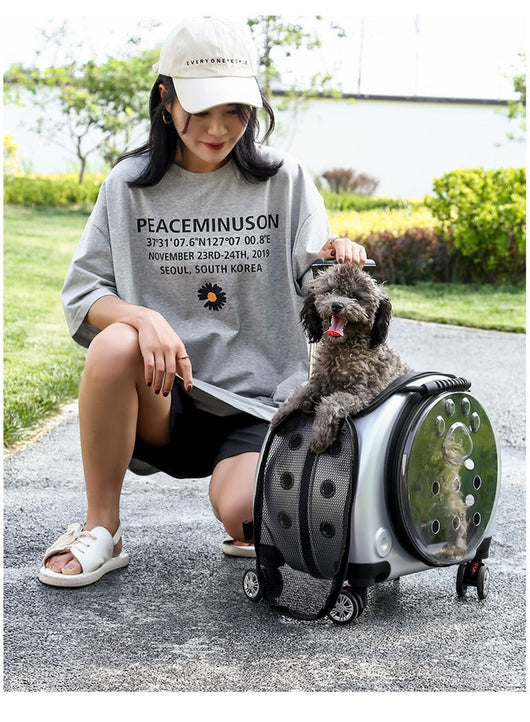 Mochila Transportadora para Mascotas Cápsula Espacial con Bolsillo Transparente - Image 62