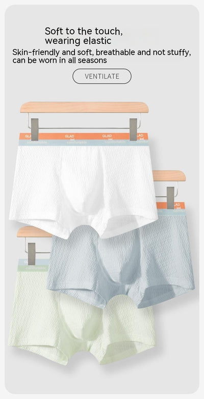 Shorts de Algodón Puro para Niños con Protección Antibacterial y Entrepierna Transpirable - Image 21