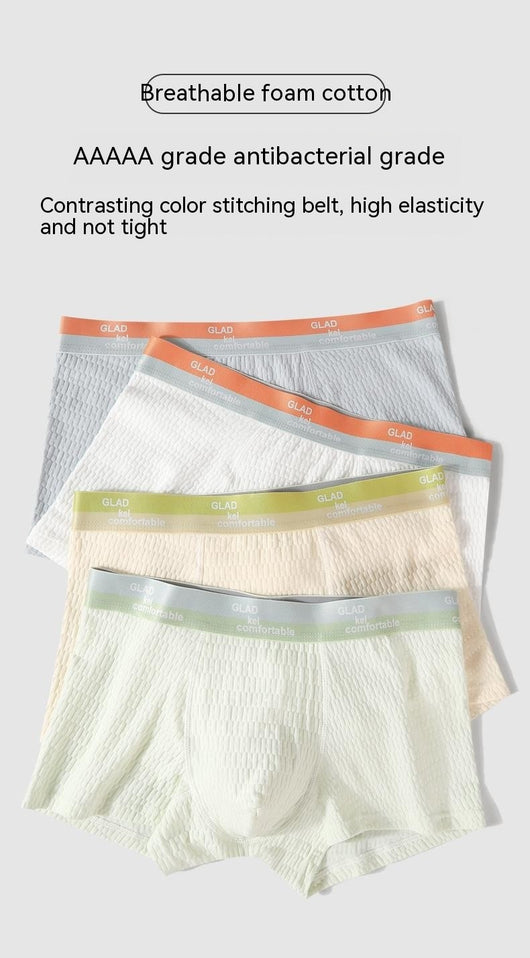 Shorts de Algodón Puro para Niños con Protección Antibacterial y Entrepierna Transpirable - Image 24