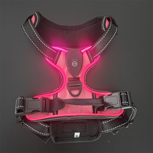 Chaleco LED Luminoso para Paseos Nocturnos de Mascotas con Destello Ajustable - Image 17