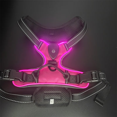 Chaleco LED Luminoso para Paseos Nocturnos de Mascotas con Destello Ajustable - Image 19