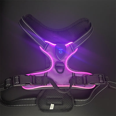 Chaleco LED Luminoso para Paseos Nocturnos de Mascotas con Destello Ajustable - Image 20