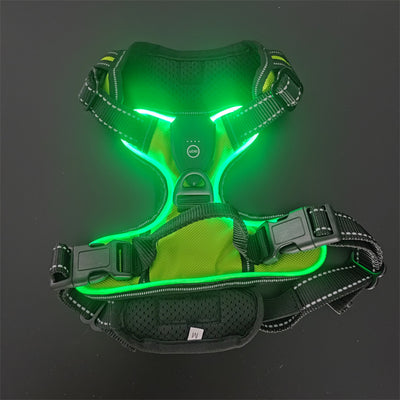 Chaleco LED Luminoso para Paseos Nocturnos de Mascotas con Destello Ajustable - Image 21
