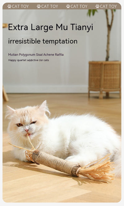 Juguete Masticable para Gatos con Catnip - Varita Molar Antiaburrimiento - Image 9