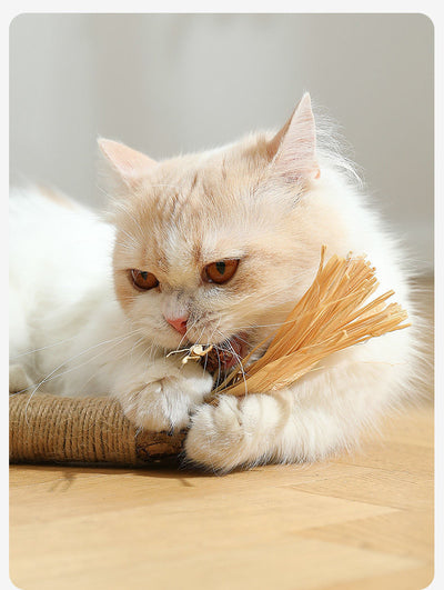 Juguete Masticable para Gatos con Catnip - Varita Molar Antiaburrimiento - Image 10