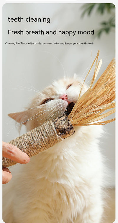 Juguete Masticable para Gatos con Catnip - Varita Molar Antiaburrimiento - Image 12