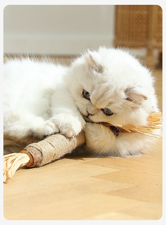 Juguete Masticable para Gatos con Catnip - Varita Molar Antiaburrimiento - Image 13