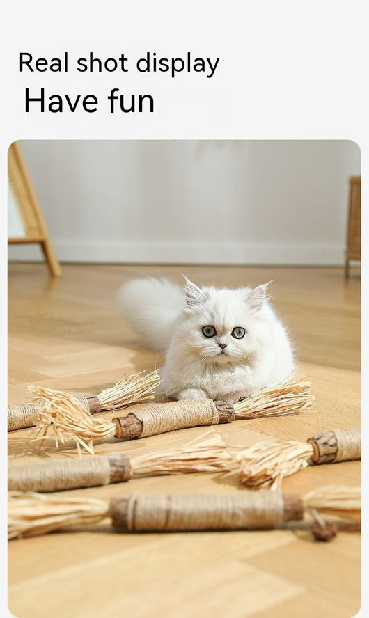 Juguete Masticable para Gatos con Catnip - Varita Molar Antiaburrimiento - Image 14