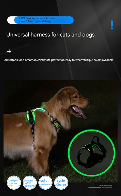 Chaleco LED Luminoso para Paseos Nocturnos de Mascotas con Destello Ajustable - Image 25