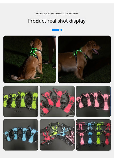 Chaleco LED Luminoso para Paseos Nocturnos de Mascotas con Destello Ajustable - Image 32
