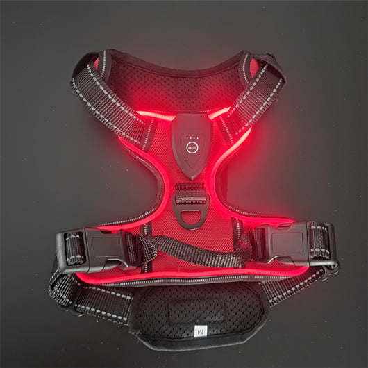 Chaleco LED Luminoso para Paseos Nocturnos de Mascotas con Destello Ajustable - Image 33