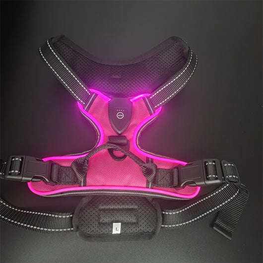Chaleco LED Luminoso para Paseos Nocturnos de Mascotas con Destello Ajustable - Image 36