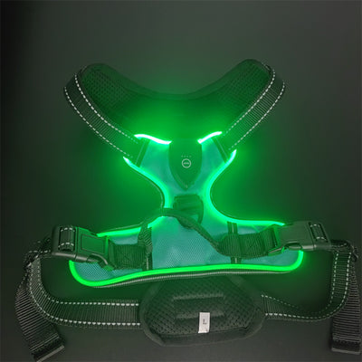 Chaleco LED Luminoso para Paseos Nocturnos de Mascotas con Destello Ajustable - Image 39