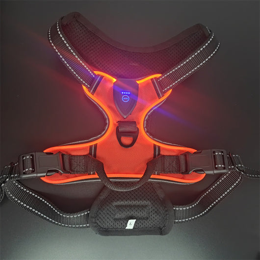 Chaleco LED Luminoso para Paseos Nocturnos de Mascotas con Destello Ajustable - Image 41