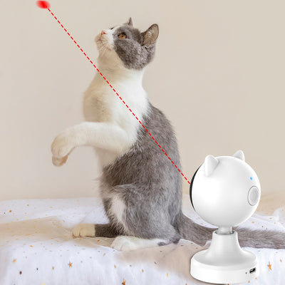 Juguete Láser Interactivo para Gatos con Carga USB - Image 9