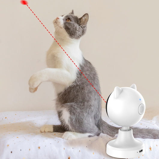 Juguete Láser Interactivo para Gatos con Carga USB - Image 9