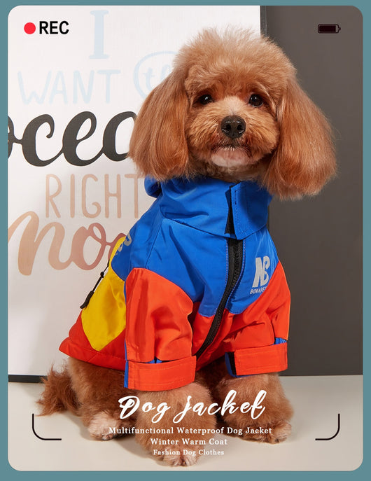 Abrigo Impermeable para Perros - Chaqueta Térmica Otoño e Invierno - Image 29