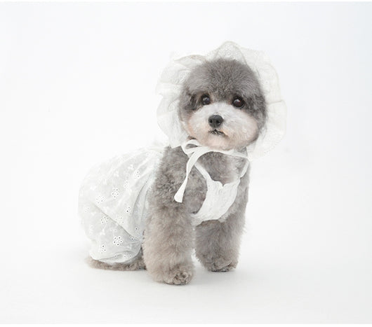 Adorno Navideño Gorro para Mascota Cachorro - Image 18